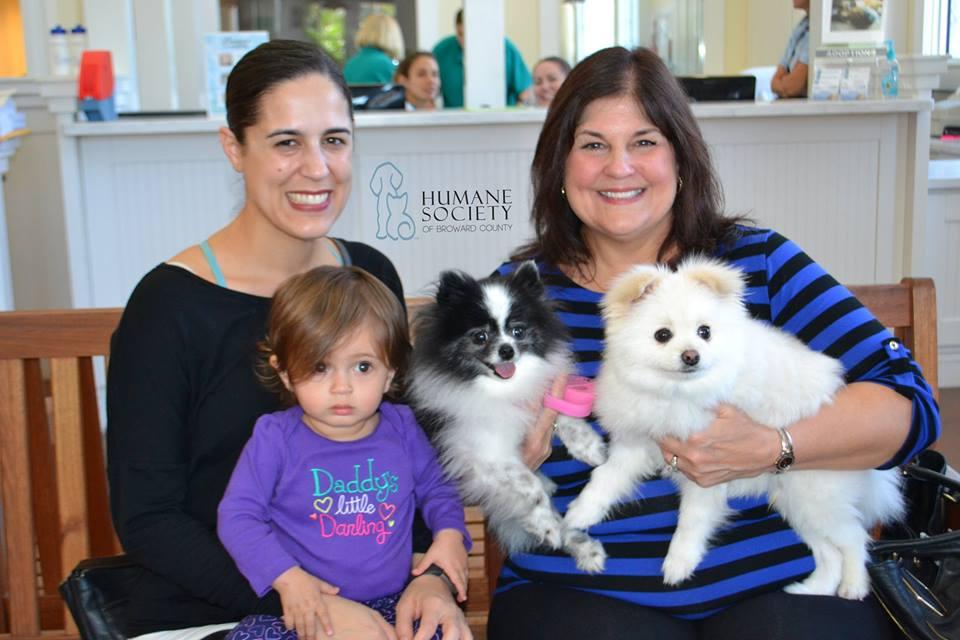 Directory of Animal Shelters in Hialeah FL BringFido