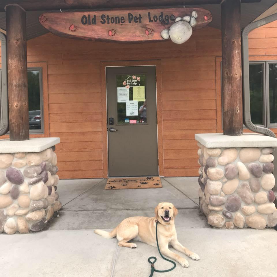 Pet Friendly Old Stone Pet Lodge