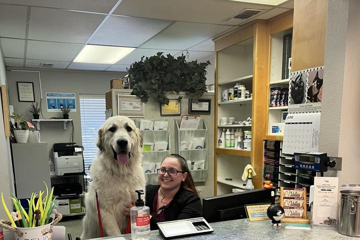Pet Friendly Valley Veterinary Clinic