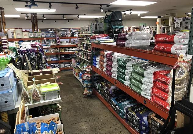 Wild things pet store on sale