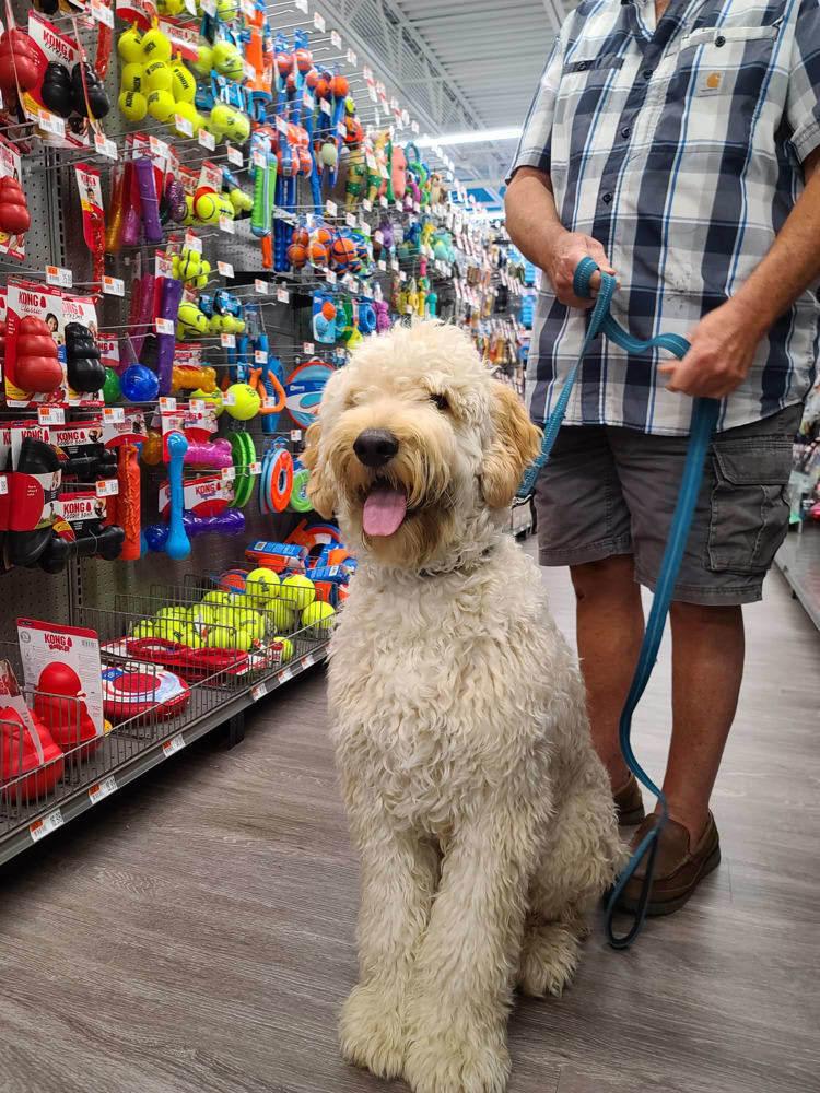 Pet Supplies Plus Florence