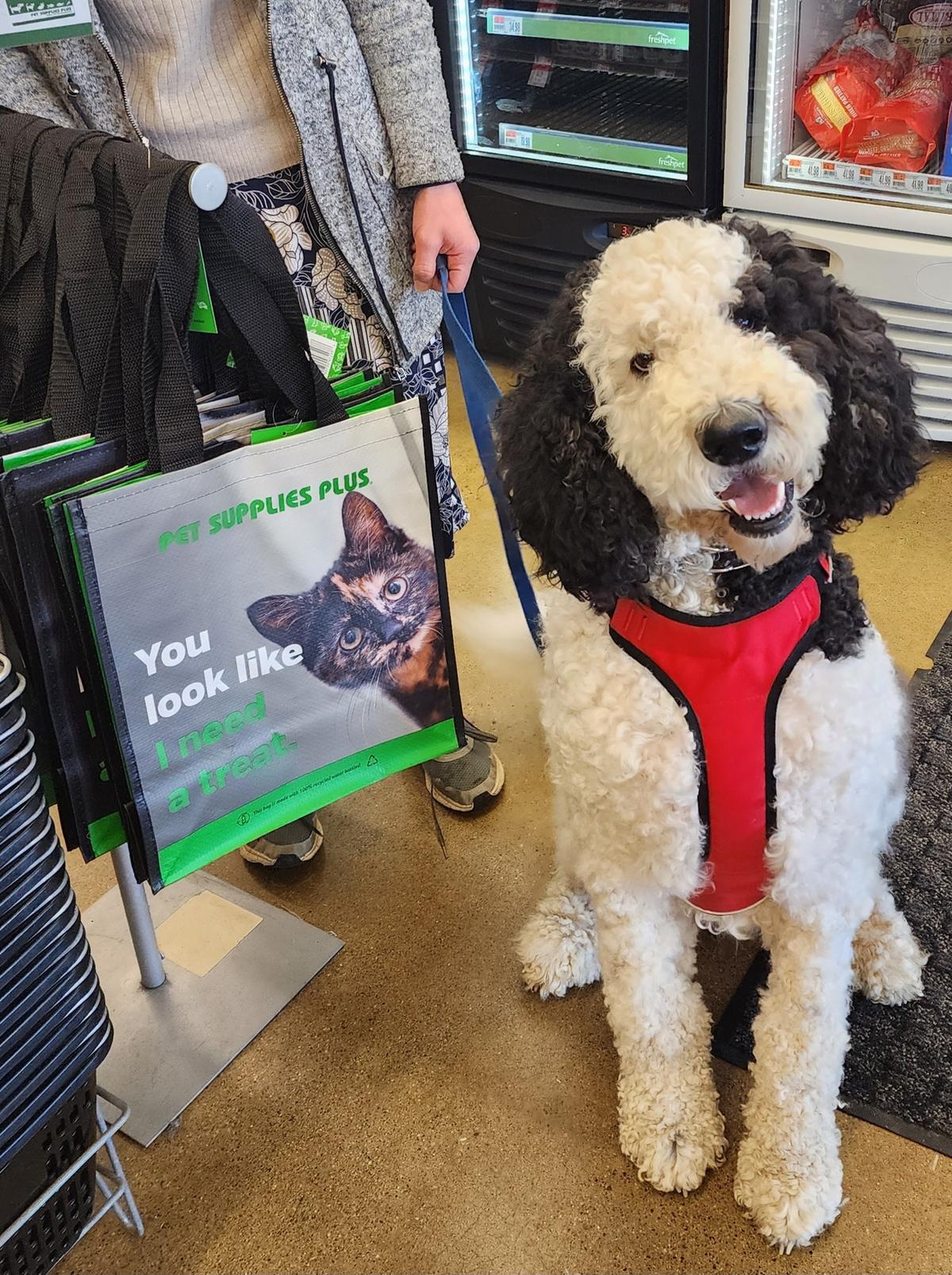 Pet Supplies Plus Florence