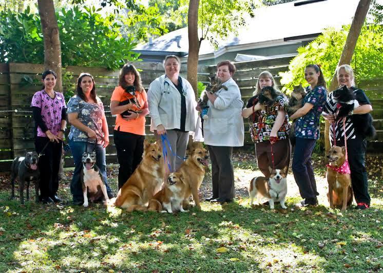 Pet Friendly Eustis Veterinary Hospital