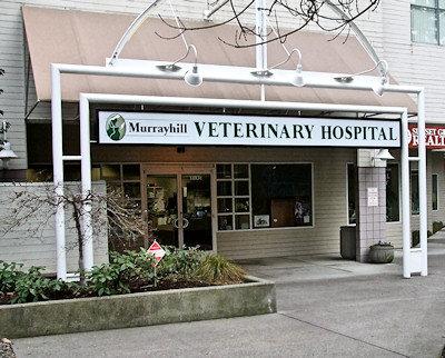 Pet Friendly Murrayhill Veterinary Hospital
