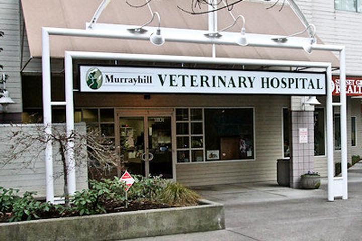 Pet Friendly Murrayhill Veterinary Hospital