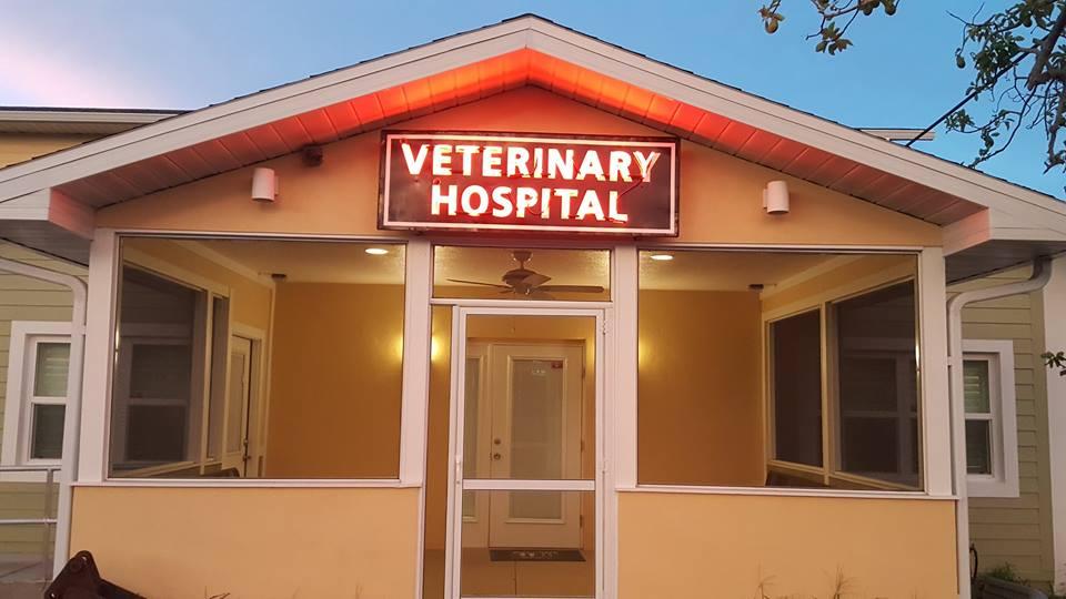 Pet Friendly Bradenton Veterinary Hospital
