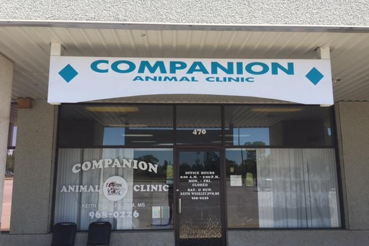 Pet Friendly Companion Animal Clinic