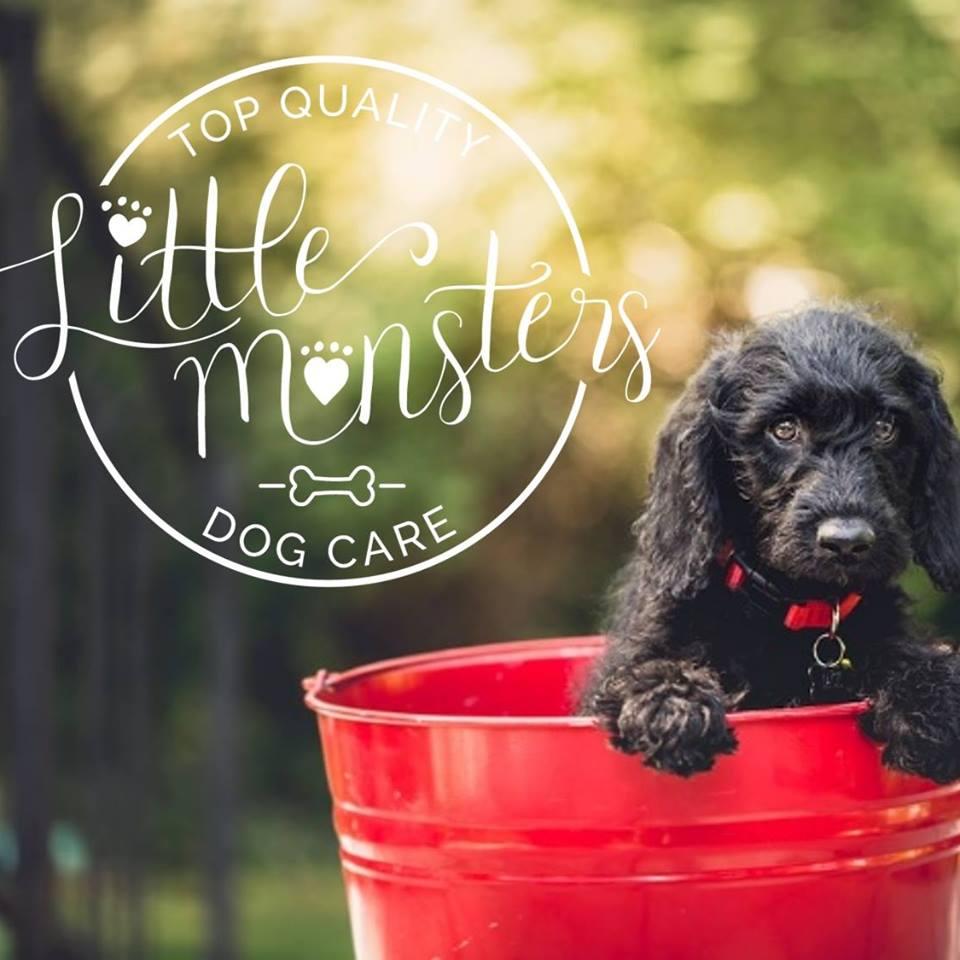 Pet Friendly Little Monsters Dog Care