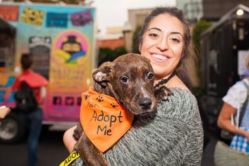 Directory Of Veterinarians In The United States Bringfido