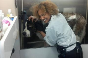 Top Dog Groomers Worldwide Bringfido