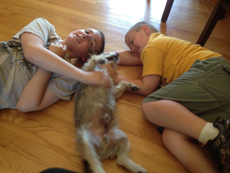 Pet Friendly MJ The Critter Sitter