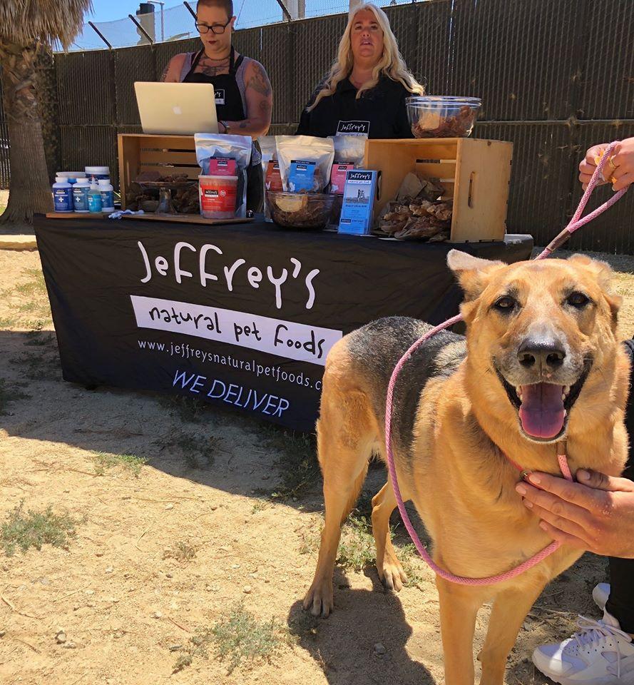 Jeffreys store pet supplies