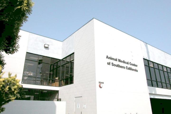 Pet Friendly Animal Medical Center of Southern California