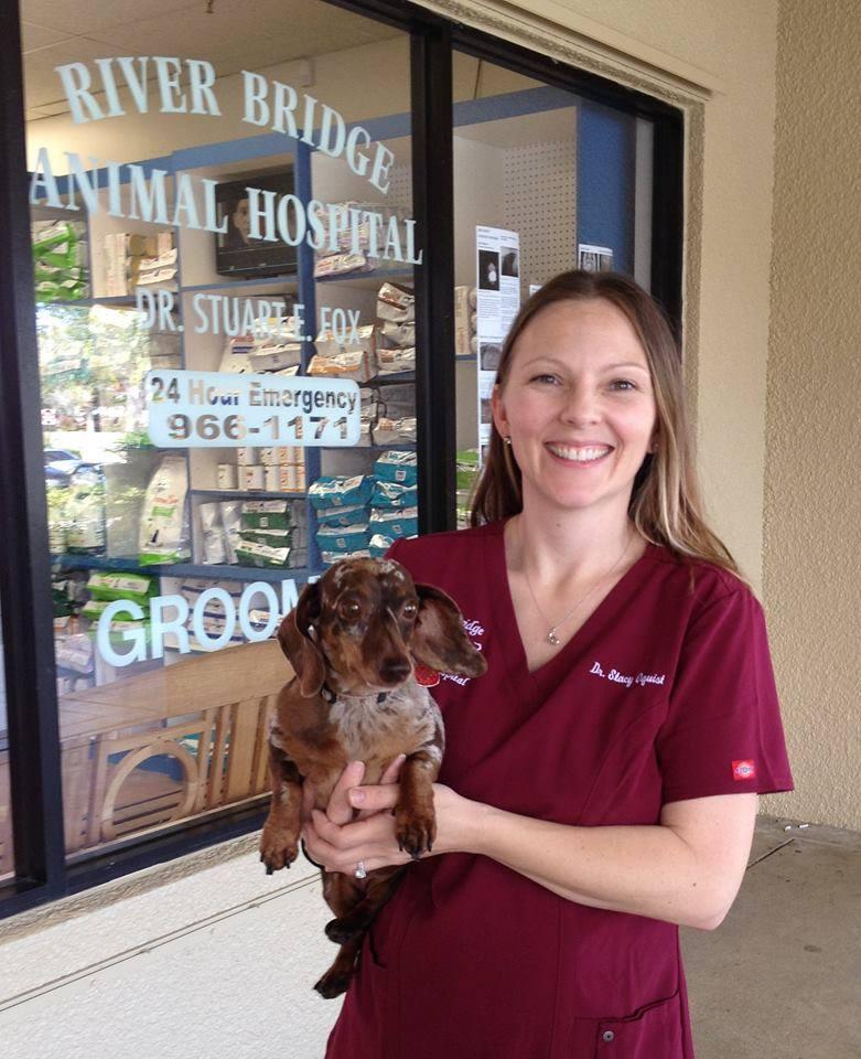 River Bridge Animal Hospital