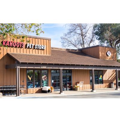 Pet Friendly Kahoots Feed and Pet