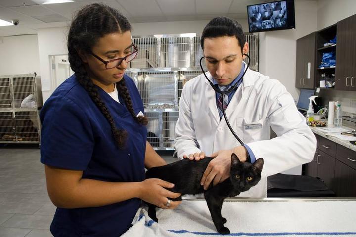 Pet Friendly Veterinary Medical Center