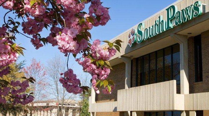 Southpaws veterinary deals