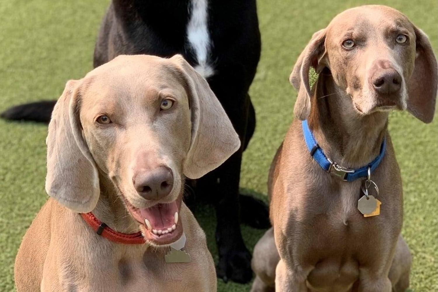 Has Major Portal Galleria Di Immagini has-major-portal-galleria-di-immagini