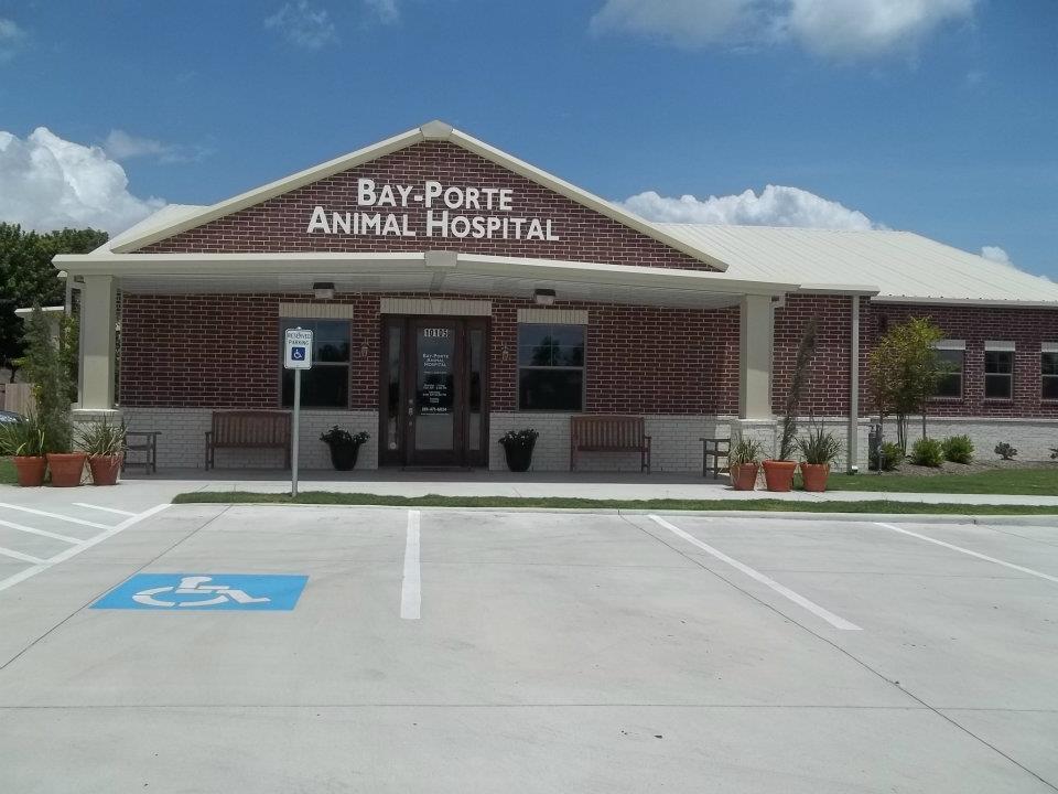 Pet Friendly Bay-Porte Animal Hospital