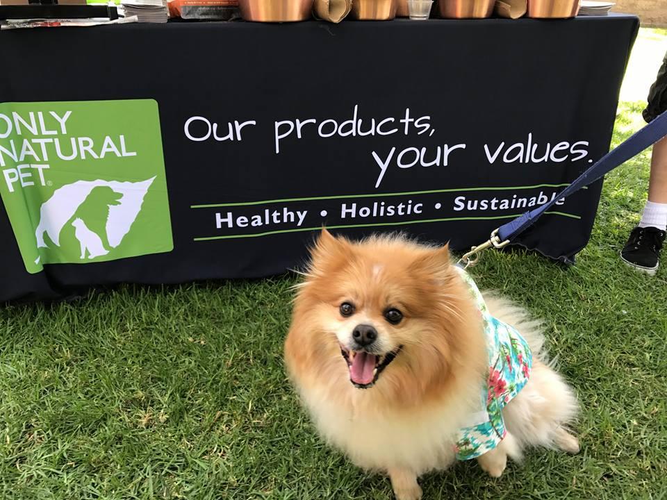 Only natural hotsell pet petco