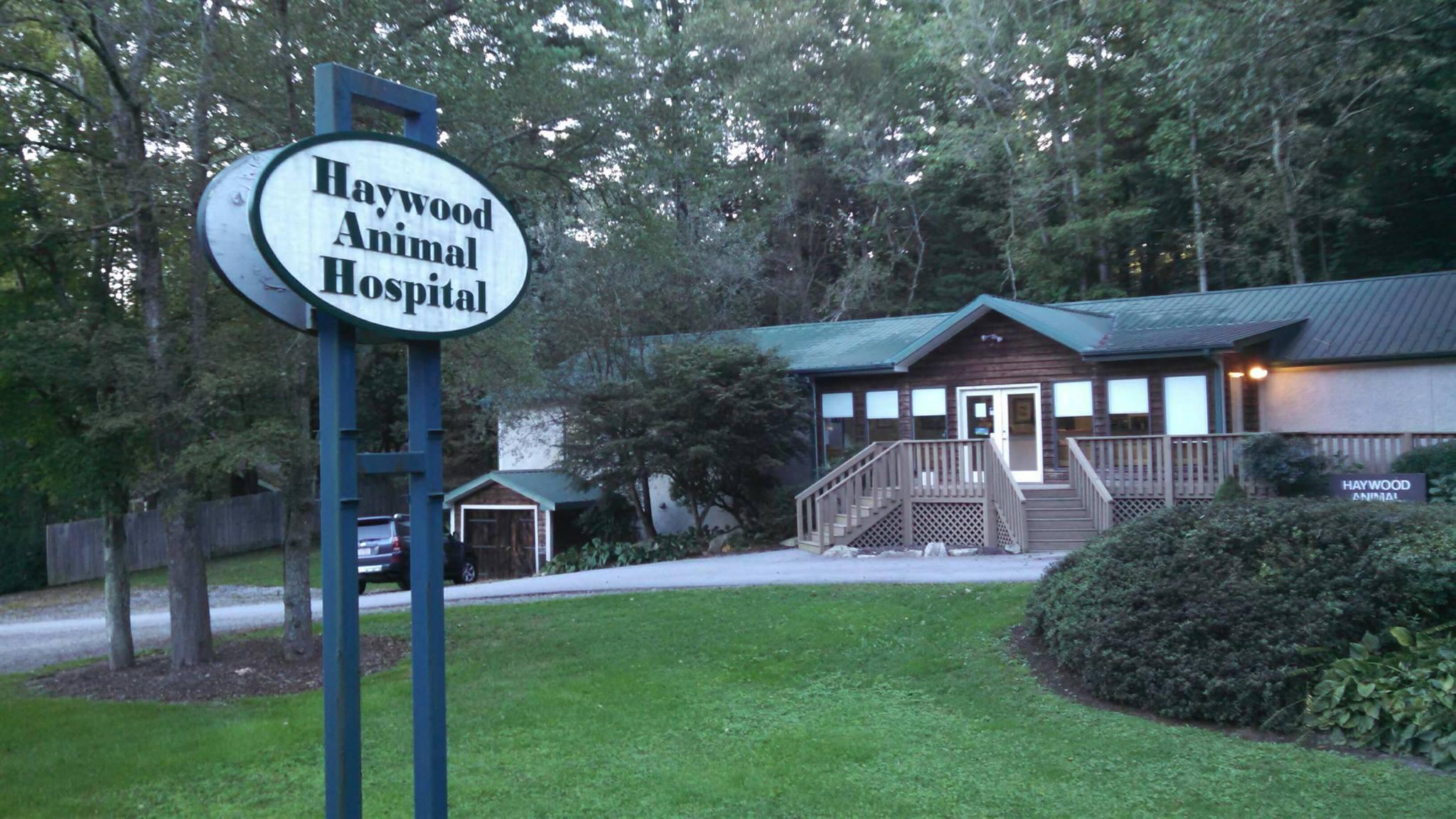Pet Friendly Haywood Animal Hospital