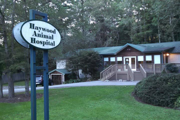 Pet Friendly Haywood Animal Hospital