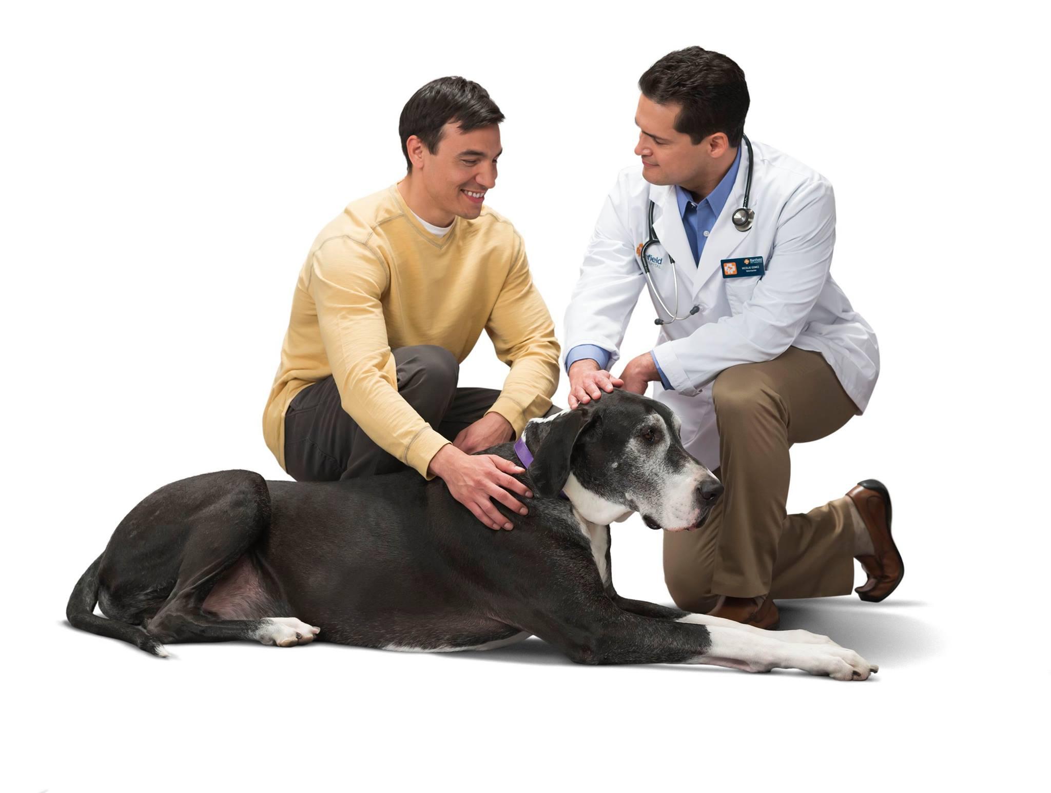 Pet Friendly Banfield Pet Hospital – Polaris
