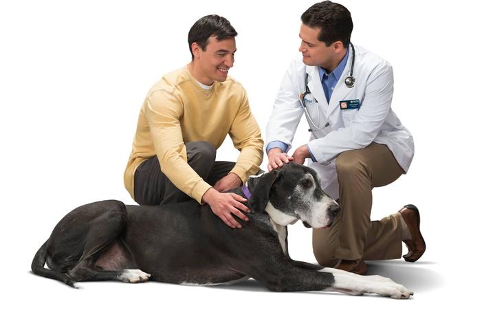 Pet Friendly Banfield Pet Hospital – Polaris