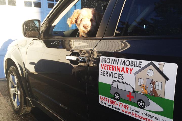 Pet Friendly Brown Mobile Veterinary Service