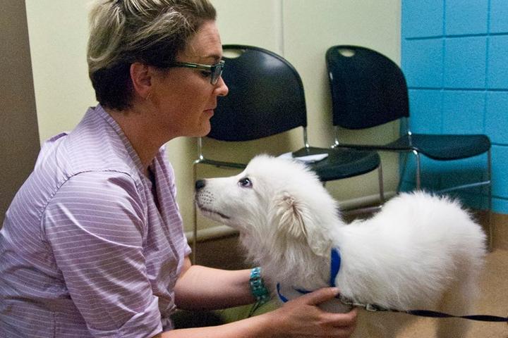 Pet Friendly Kentucky Humane Society Sam Swope Pet Treatment & Lifesaving Center