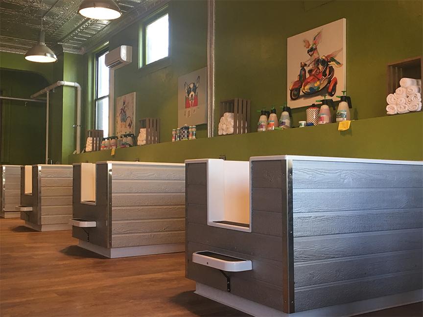 bath house dog grooming