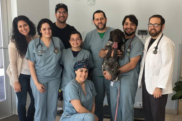 Pet Friendly Southeast Veterinary Neurology