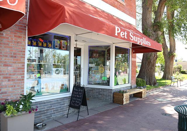 Directory of Pet Stores in Conifer CO BringFido