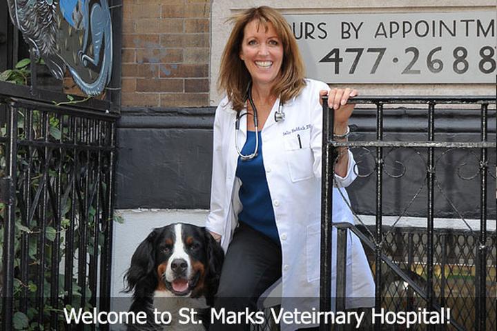Pet Friendly St. Marks Veterinary Hospital