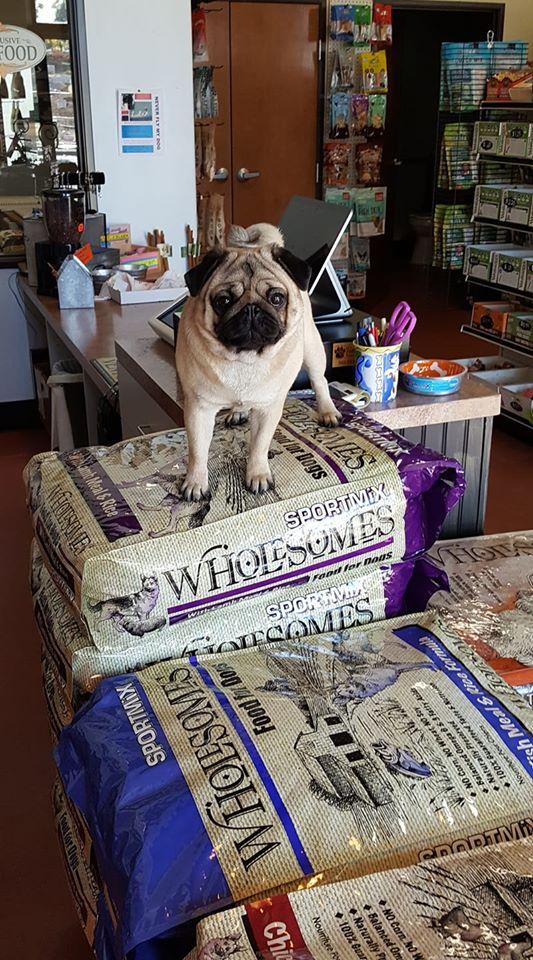 Exclusive Pet Supply