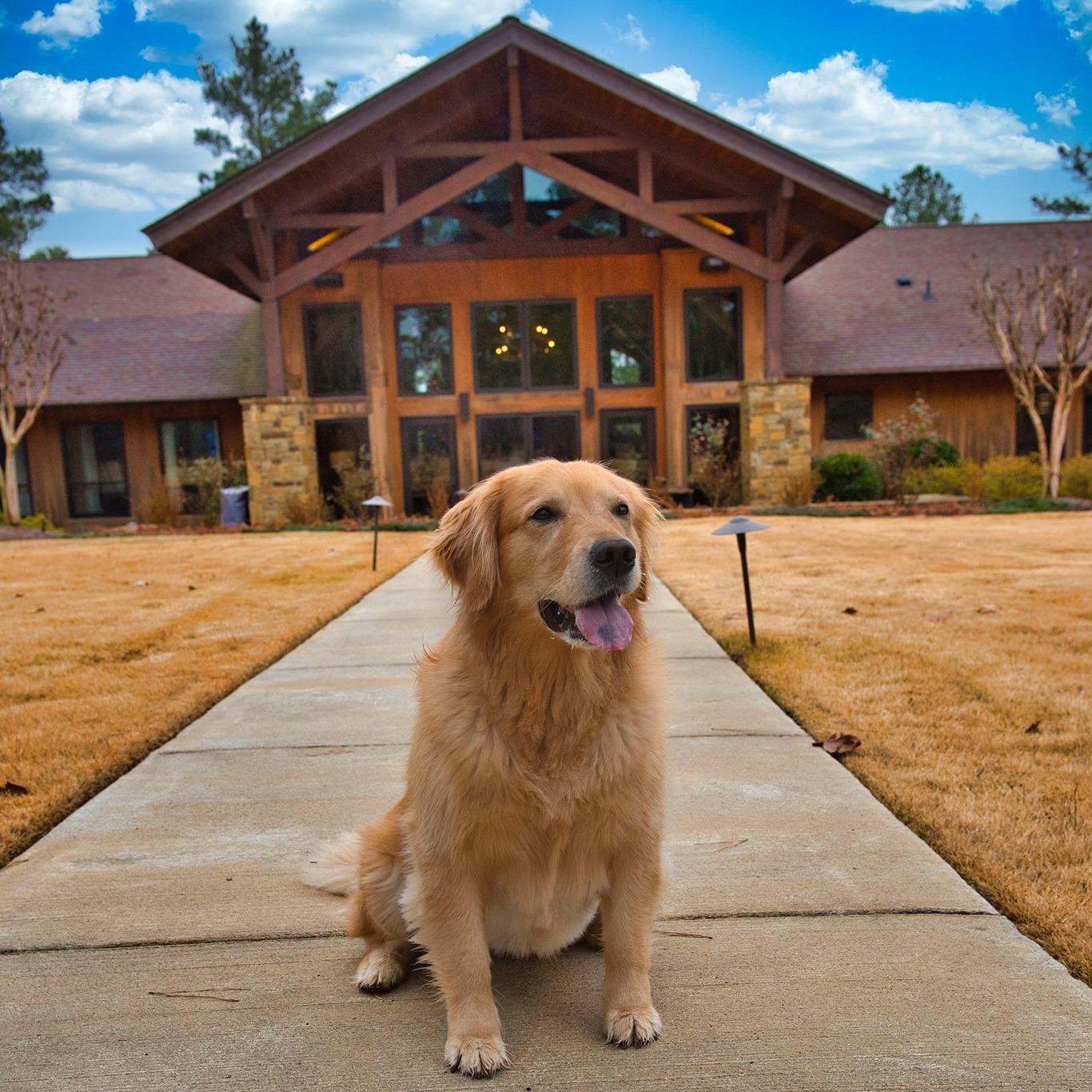 Pet Friendly The Pine Hill Ranch Canine Center