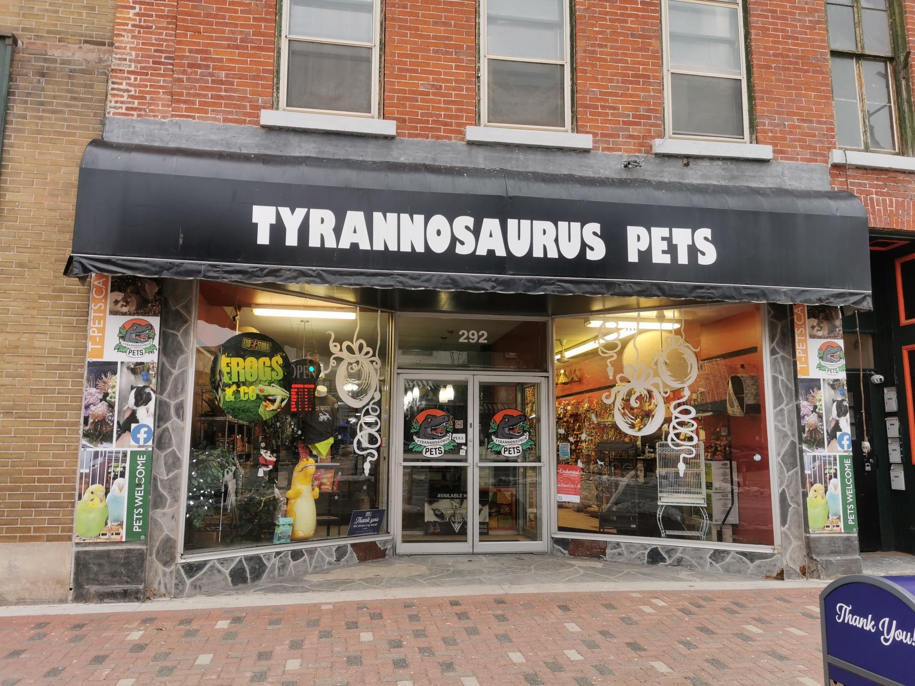 Pet Friendly Tyrannosaurus Pets
