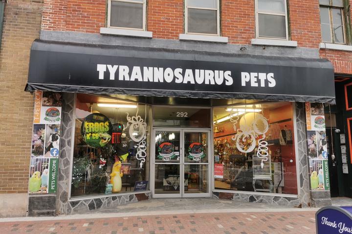 Pet Friendly Tyrannosaurus Pets