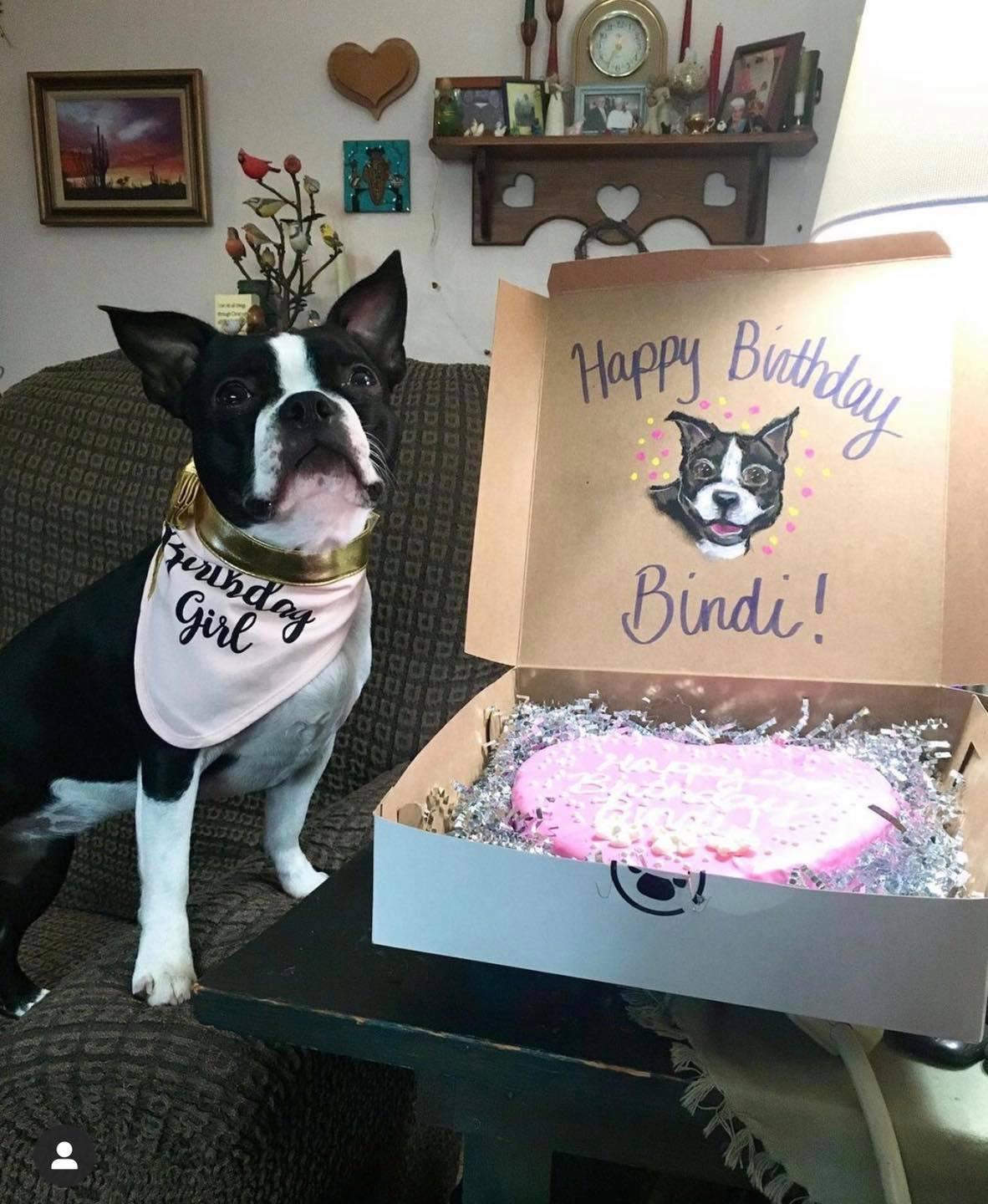 Lucky Dog Pet Grocery Bakery