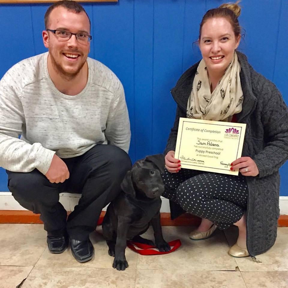 Om obedience dog training discount