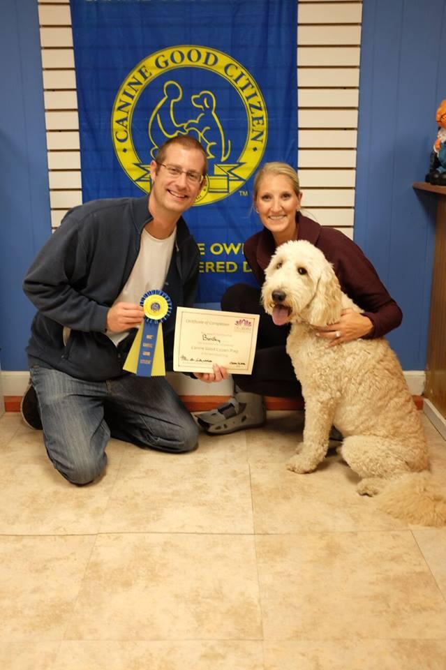 Om obedience shop dog training