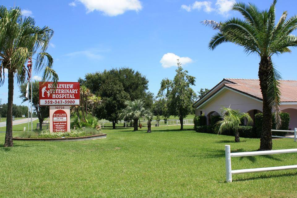 Belleview Veterinary Hospital