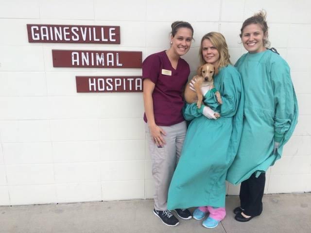 Pet Friendly Gainesville Animal Hospital