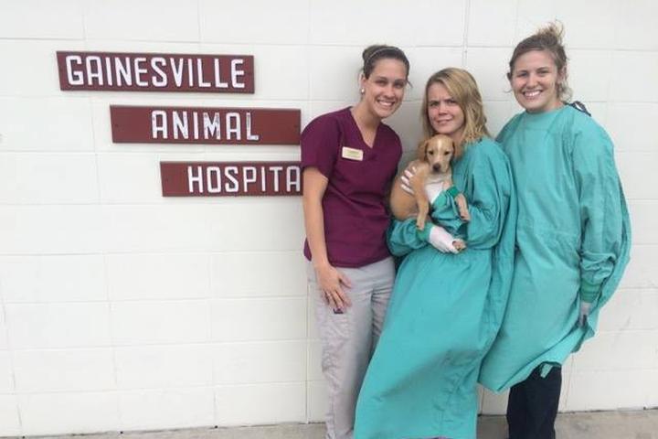 Pet Friendly Gainesville Animal Hospital