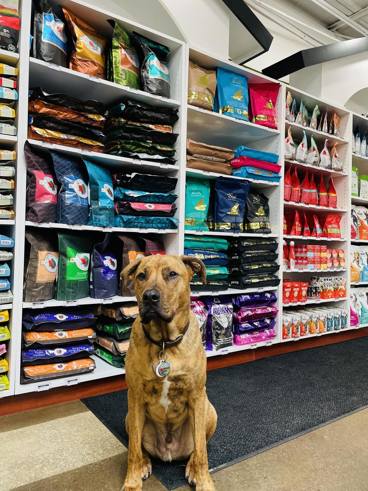 Directory of Pet Stores in Cleveland OH BringFido