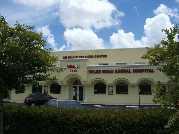 vca cloud animal hospital