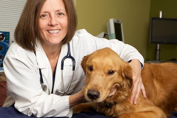 Pet Friendly PETSURG and ER4PETS