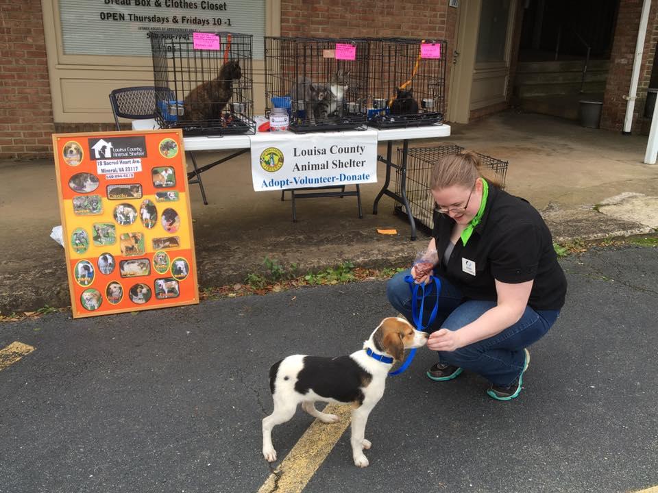 Pet Friendly Louisa County Animal Shelter