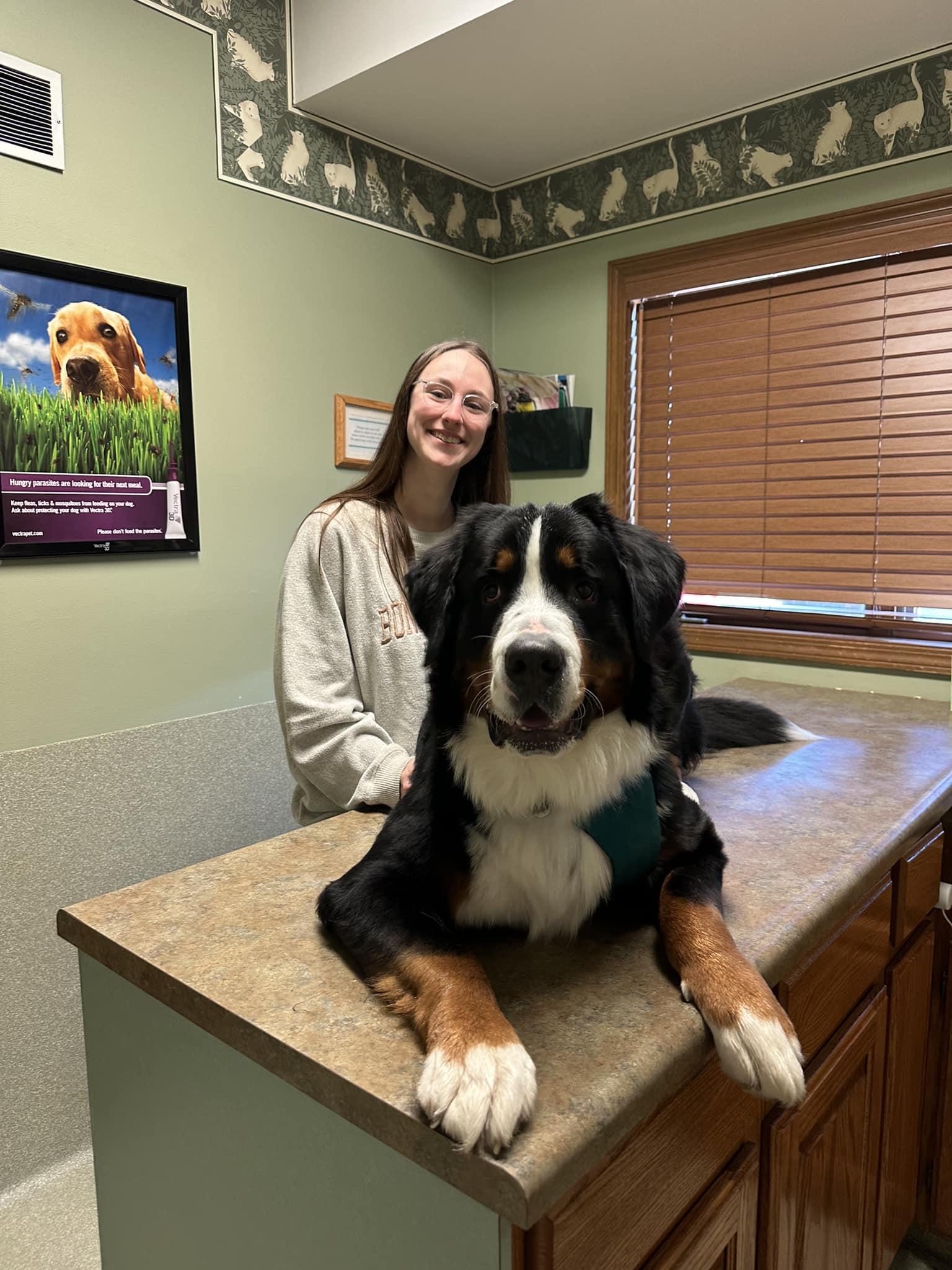 Pet Friendly All Creatures Animal Hospital