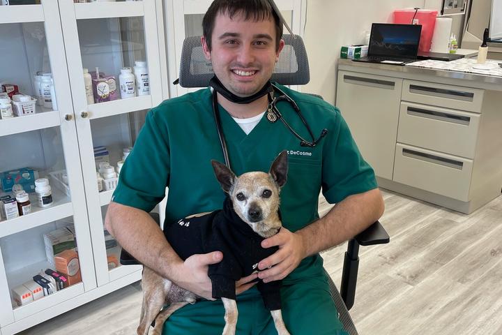 Pet Friendly Hudson Veterinary Care